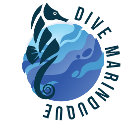 Dive-Marinduque-Logo-250px